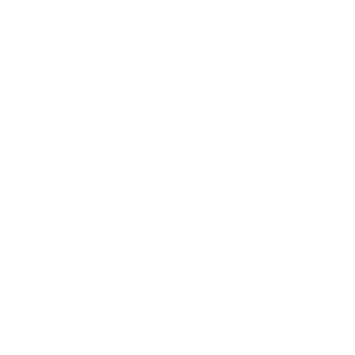 AI Chatbot Solutions